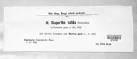 Diaporthe valida image